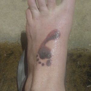 Meet your Posher, Connie